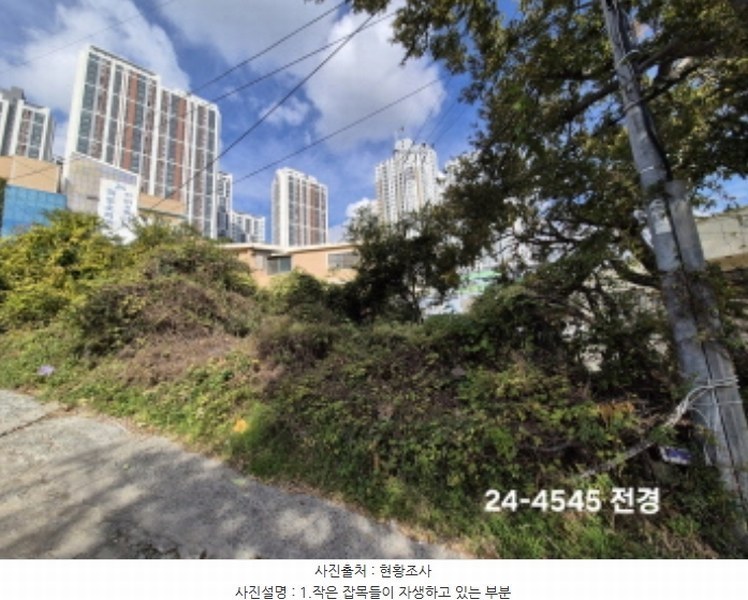 2024타경4545 부산광역시 사하구 구평동 산58-6 임야 경매 이미지