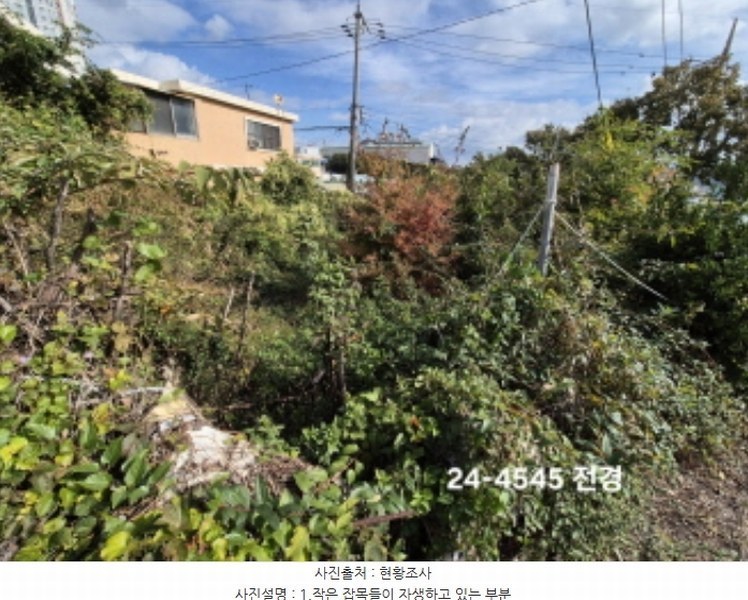 2024타경4545 부산광역시 사하구 구평동 산58-6 임야 경매 이미지