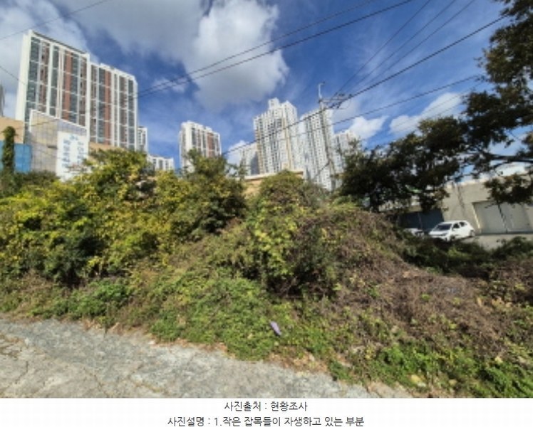 2024타경4545 부산광역시 사하구 구평동 산58-6 임야 경매 이미지