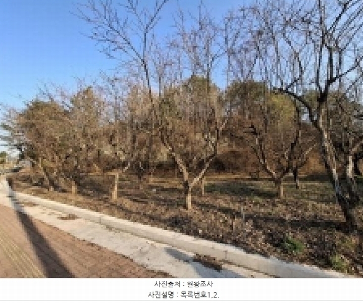 2025타경544 경상남도 사천시 사천읍 정의리 74-4 농지 경매 이미지