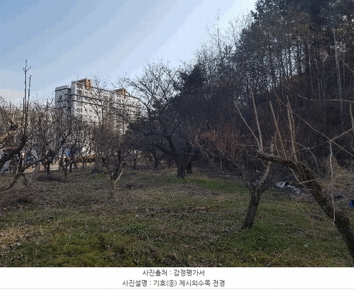 2025타경544 경상남도 사천시 사천읍 정의리 74-4 농지 경매 이미지