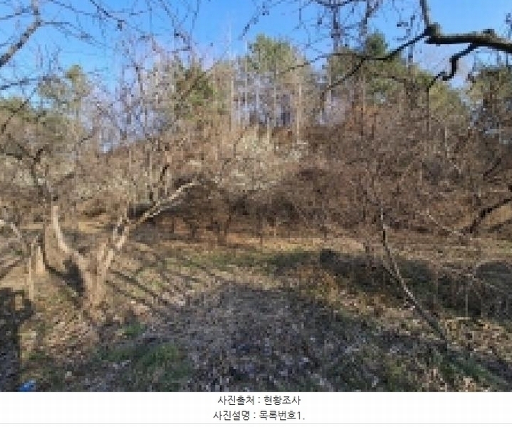 2025타경544 경상남도 사천시 사천읍 정의리 74-4 농지 경매 이미지