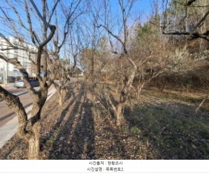 2025타경544 경상남도 사천시 사천읍 정의리 74-4 농지 경매 이미지