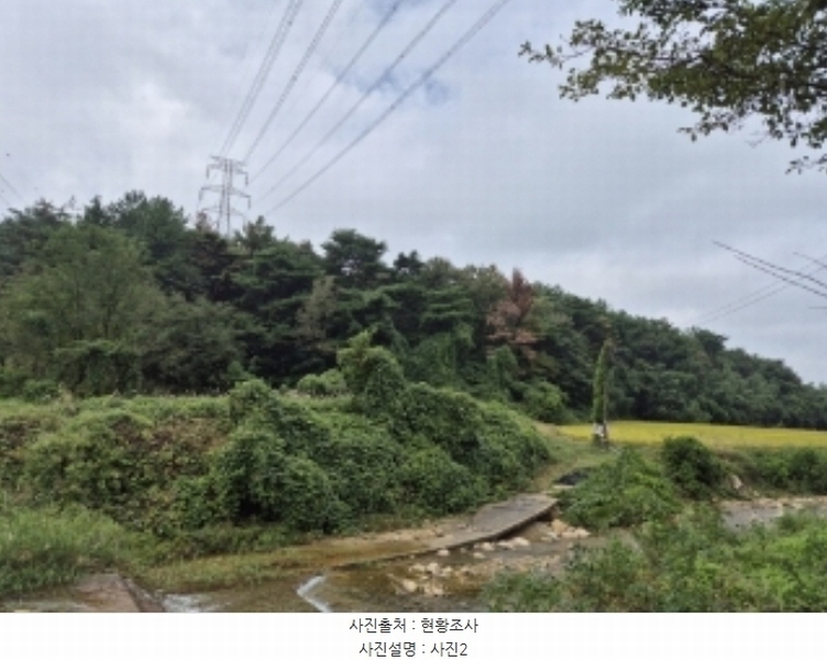 2024타경35945 경상북도 포항시 남구 대송면 대각리 산132 임야 경매 이미지