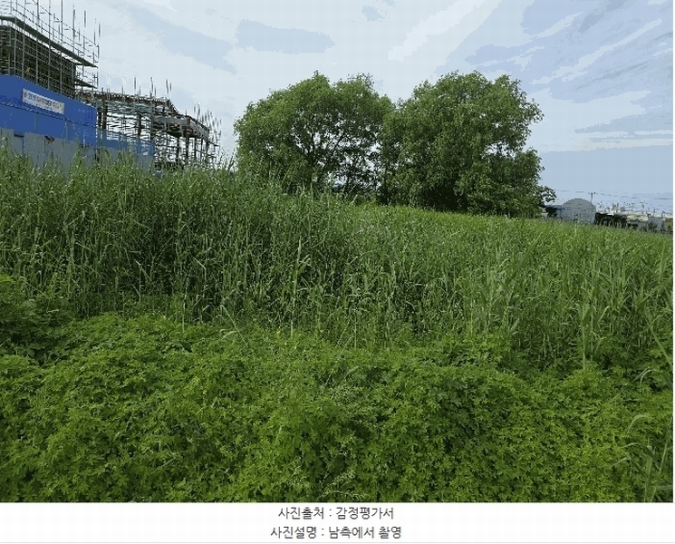 2025타경359 경상북도 포항시 남구 대송면 송동리 796-13 농지 경매 이미지