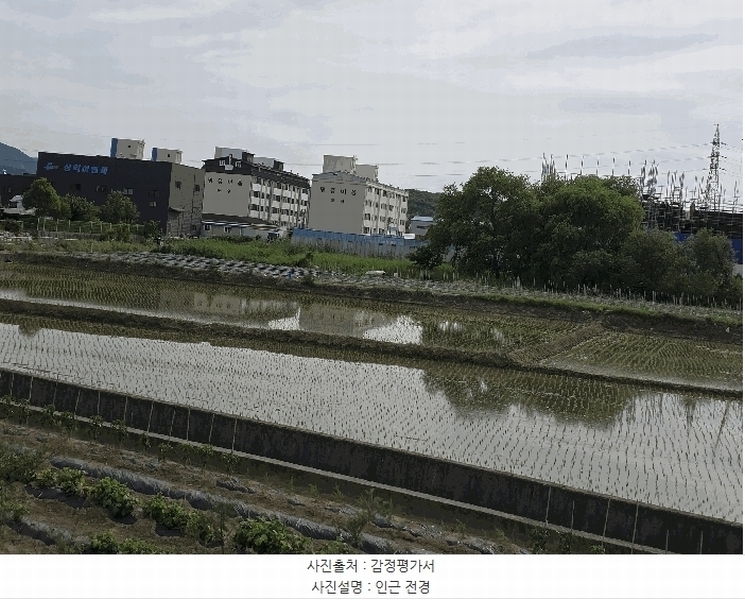 2025타경359 경상북도 포항시 남구 대송면 송동리 796-13 농지 경매 이미지