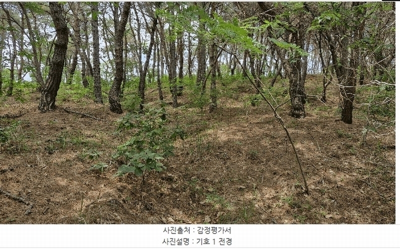 2025타경379 경상북도 포항시 남구 연일읍 학전리 산32 임야 경매 이미지
