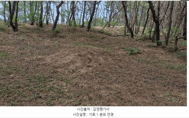 2025타경379 경상북도 포항시 남구 연일읍 학전리 산32 임야 경매 이미지