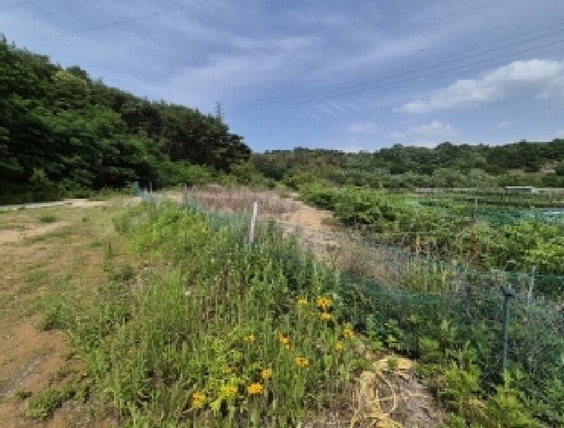 2025타경379 경상북도 포항시 남구 연일읍 학전리 산32 임야 경매 이미지