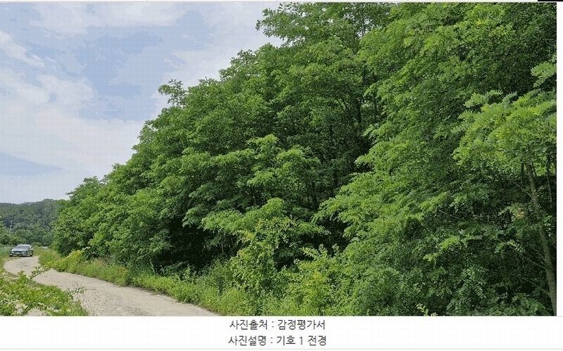 2025타경379 경상북도 포항시 남구 연일읍 학전리 산32 임야 경매 이미지