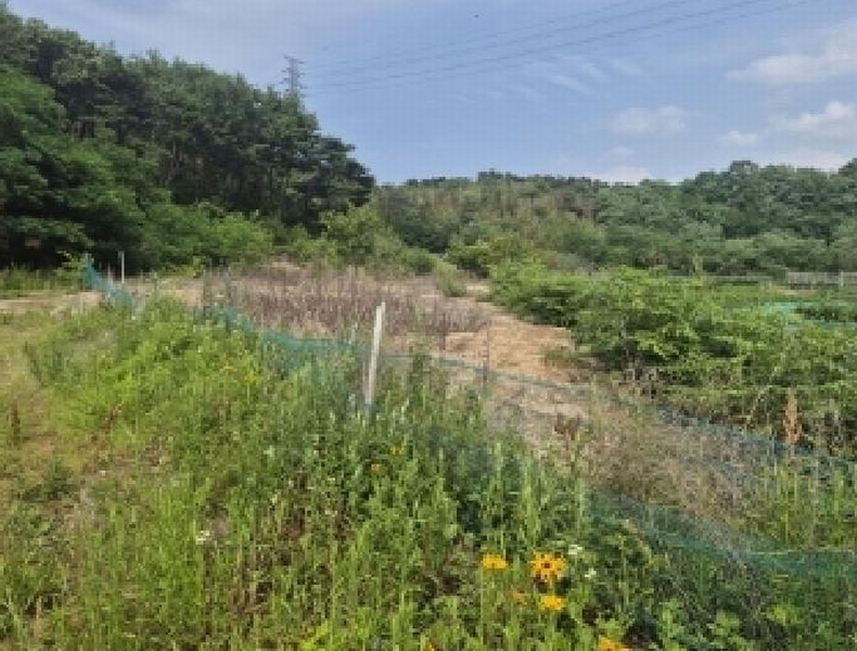 2025타경379 경상북도 포항시 남구 연일읍 학전리 산32 임야 경매 이미지