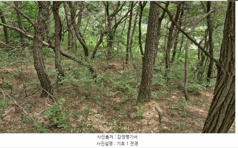 2025타경379 경상북도 포항시 남구 연일읍 학전리 산32 임야 경매 이미지
