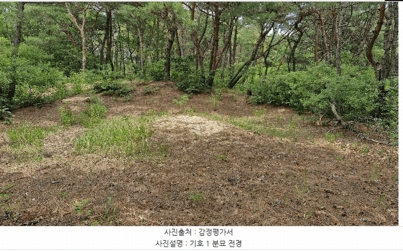 2025타경379 경상북도 포항시 남구 연일읍 학전리 산32 임야 경매 이미지
