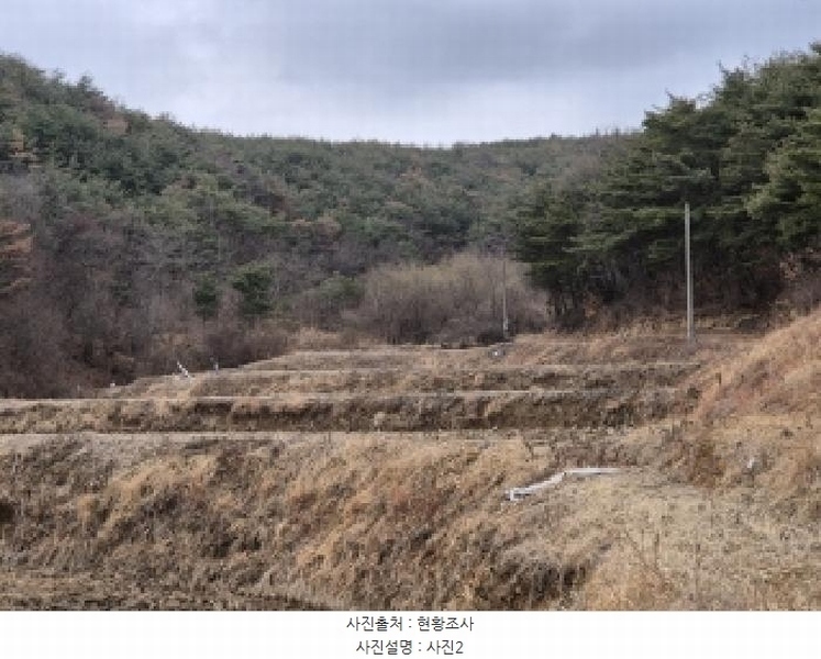 2025타경3593 경상북도 포항시 북구 청하면 고현리 931 농지 경매 이미지