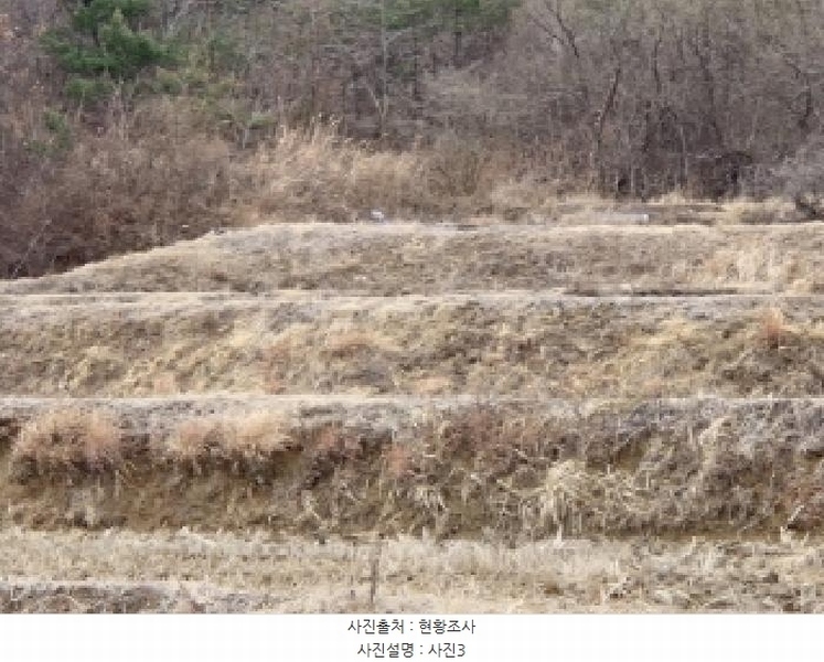 2025타경3593 경상북도 포항시 북구 청하면 고현리 931 농지 경매 이미지