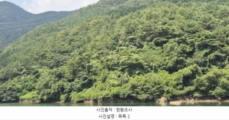 2025타경560 경상남도 고성군 하일면 학림리 1331 임야 경매 이미지