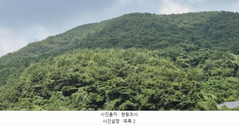 2025타경560 경상남도 고성군 하일면 학림리 1331 임야 경매 이미지
