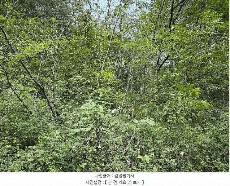 2025타경560 경상남도 고성군 하일면 학림리 1331 임야 경매 이미지
