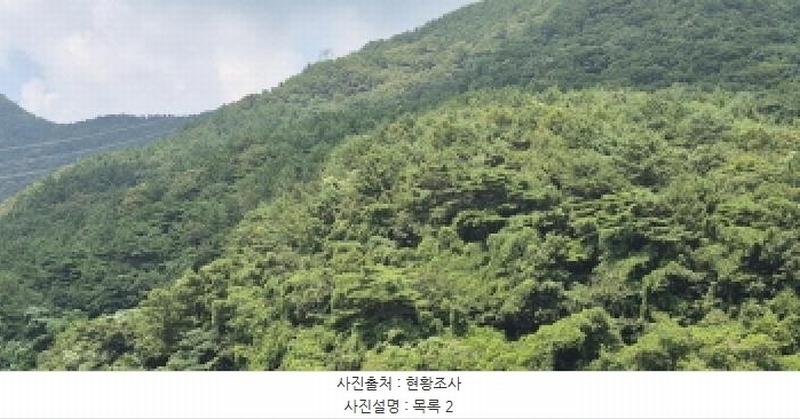 2025타경560 경상남도 고성군 하일면 학림리 1331 임야 경매 이미지