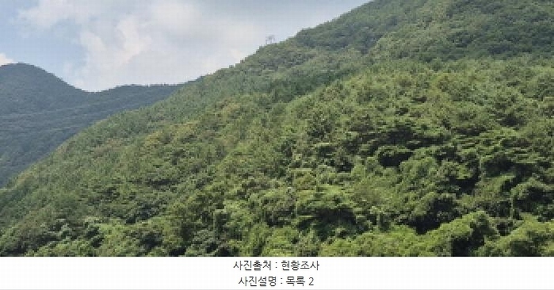 2025타경560 경상남도 고성군 하일면 학림리 1331 임야 경매 이미지