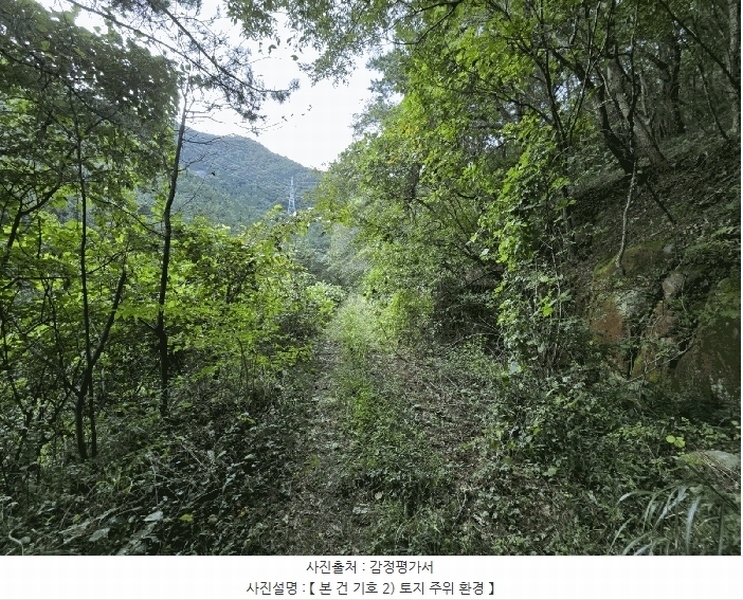 2025타경560 경상남도 고성군 하일면 학림리 1331 임야 경매 이미지