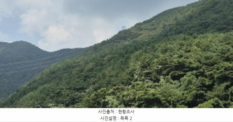 2025타경560 경상남도 고성군 하일면 학림리 1331 임야 경매 이미지