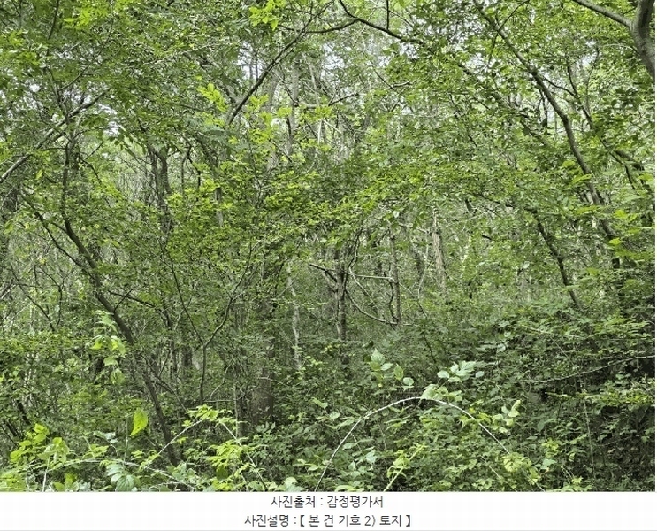 2025타경560 경상남도 고성군 하일면 학림리 1331 임야 경매 이미지