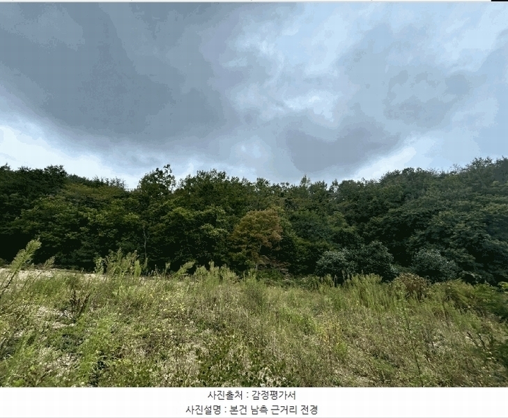 2025타경3716 경상북도 포항시 북구 양덕동 산216-8 임야 경매 이미지