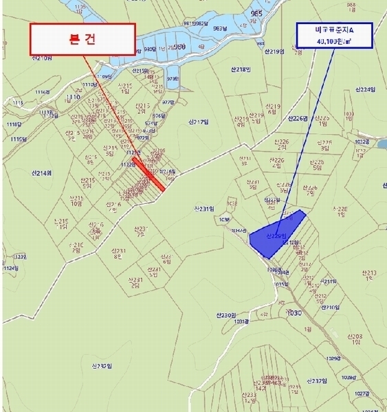 2025타경3716 경상북도 포항시 북구 양덕동 산216-8 임야 경매 이미지