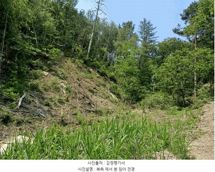 2025타경3780 경상북도 포항시 북구 용흥동 산123-1 임야 경매 이미지
