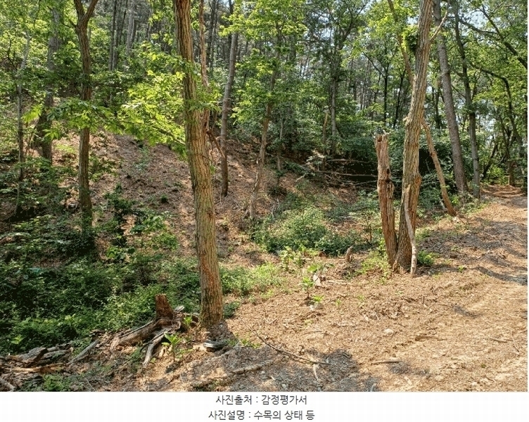 2025타경3780 경상북도 포항시 북구 용흥동 산123-1 임야 경매 이미지