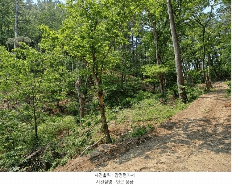 2025타경3780 경상북도 포항시 북구 용흥동 산123-1 임야 경매 이미지