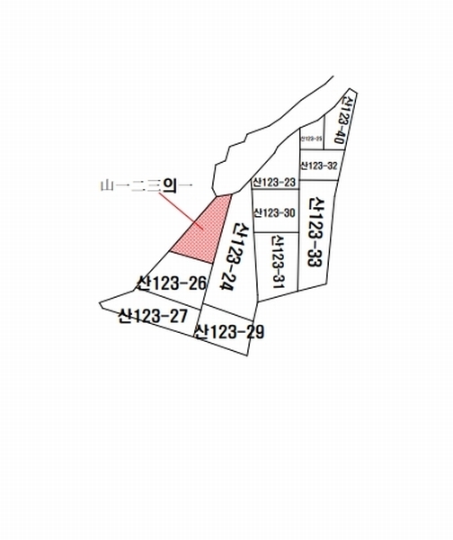 2025타경3780 경상북도 포항시 북구 용흥동 산123-1 임야 경매 이미지