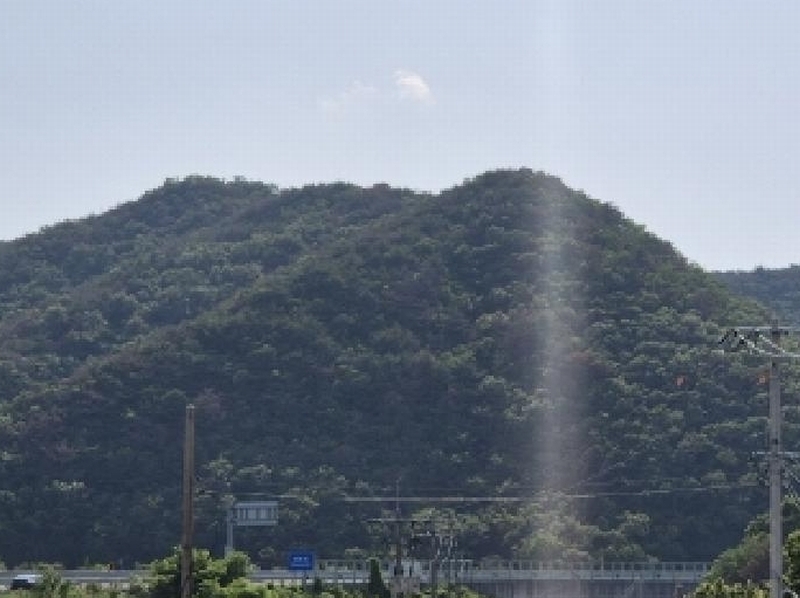 2025타경3833 경상북도 포항시 남구 장기면 대곡리 산129-1 임야 경매 이미지