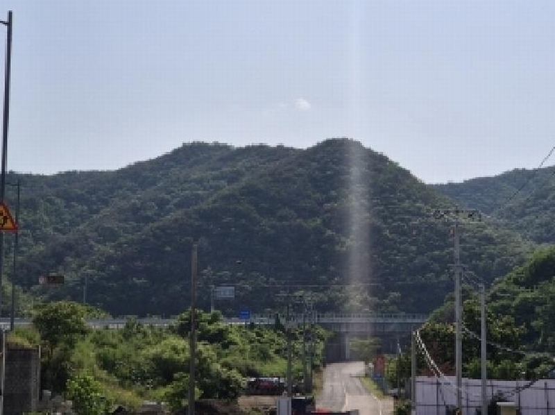 2025타경3833 경상북도 포항시 남구 장기면 대곡리 산129-1 임야 경매 이미지
