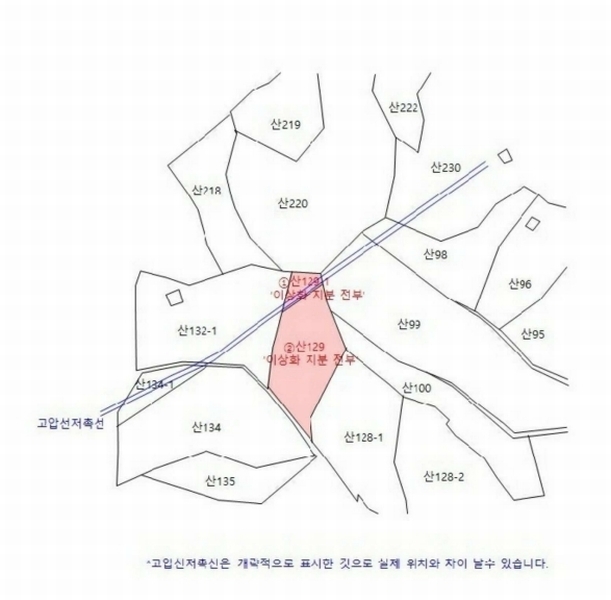 2025타경3833 경상북도 포항시 남구 장기면 대곡리 산129-1 임야 경매 이미지