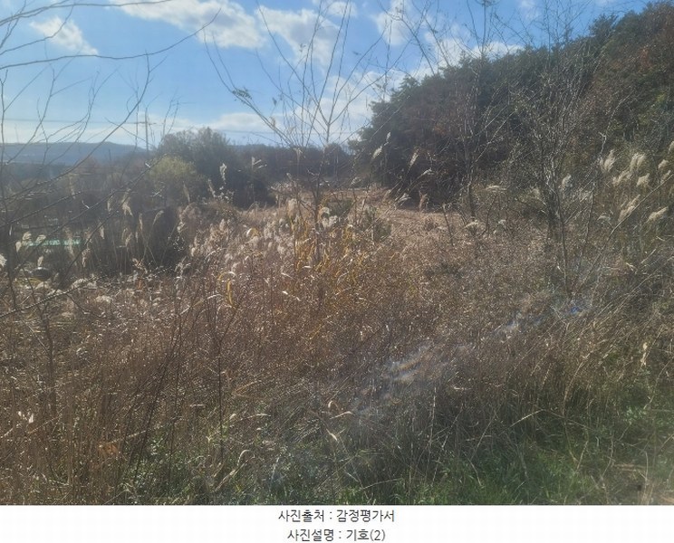 2024타경3924 경상북도 포항시 북구 청하면 소동리 229 임야 경매 이미지