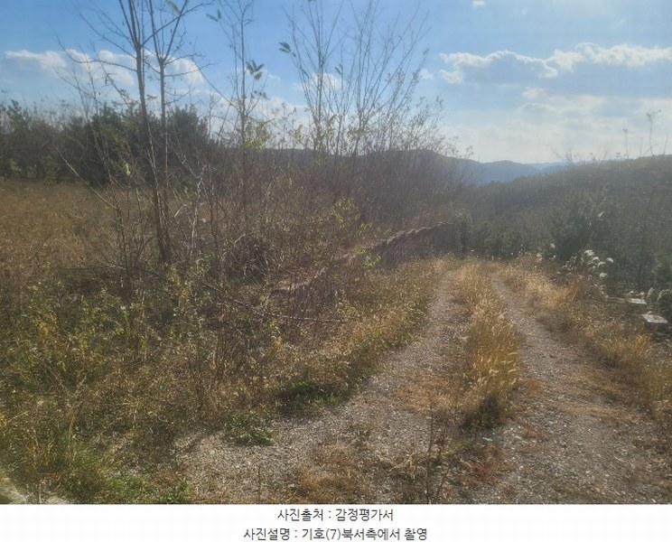 2024타경3924 경상북도 포항시 북구 청하면 소동리 229 임야 경매 이미지