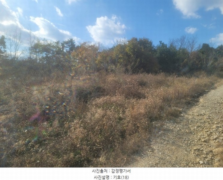2024타경3924 경상북도 포항시 북구 청하면 소동리 229 임야 경매 이미지