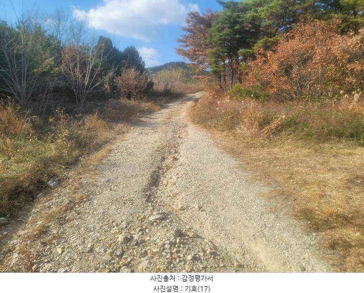 2024타경3924 경상북도 포항시 북구 청하면 소동리 229 임야 경매 이미지