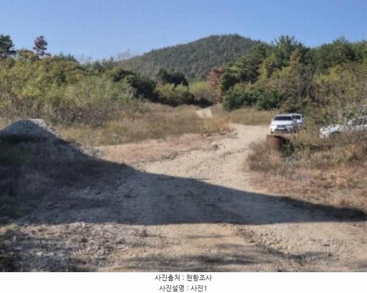 2024타경3924 경상북도 포항시 북구 청하면 소동리 229 임야 경매 이미지