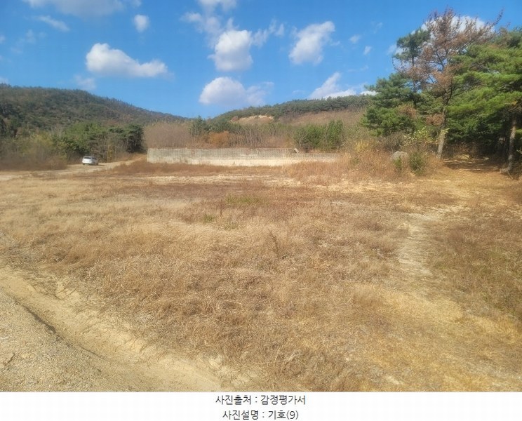 2024타경3924 경상북도 포항시 북구 청하면 소동리 229 임야 경매 이미지