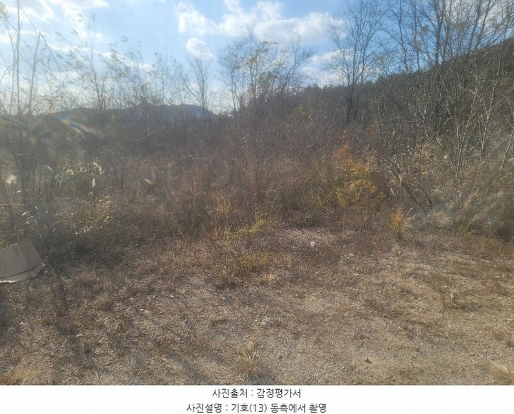 2024타경3924 경상북도 포항시 북구 청하면 소동리 229 임야 경매 이미지