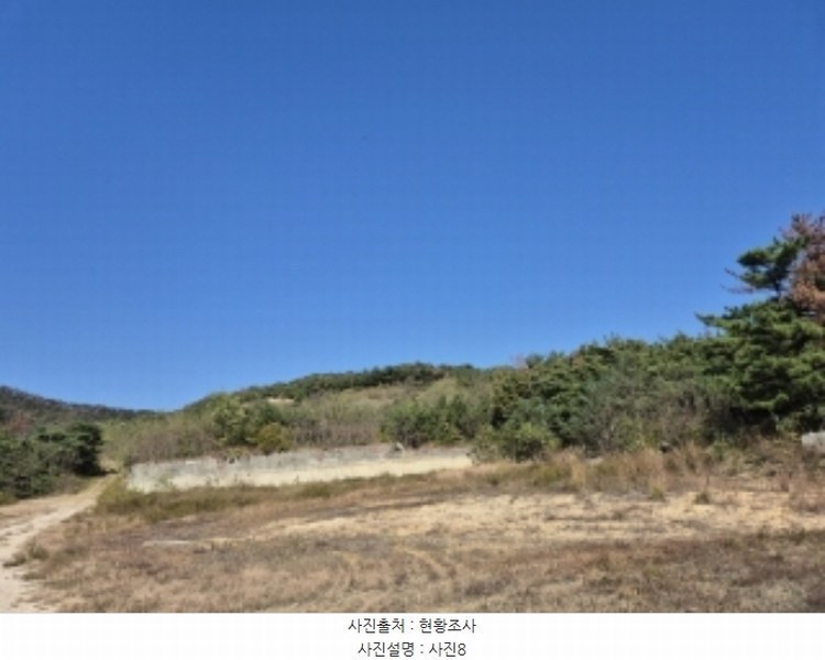 2024타경3924 경상북도 포항시 북구 청하면 소동리 229 임야 경매 이미지
