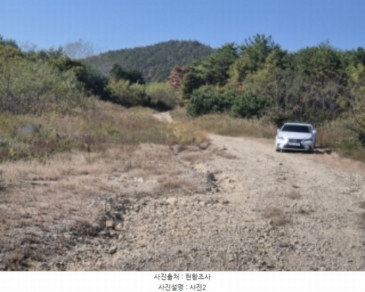 2024타경3924 경상북도 포항시 북구 청하면 소동리 229 임야 경매 이미지