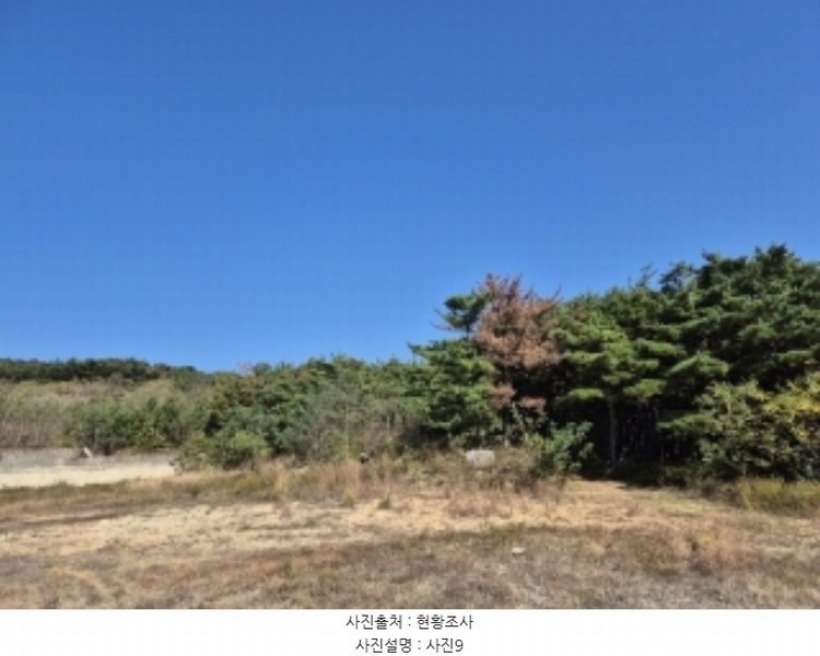 2024타경3924 경상북도 포항시 북구 청하면 소동리 229 임야 경매 이미지