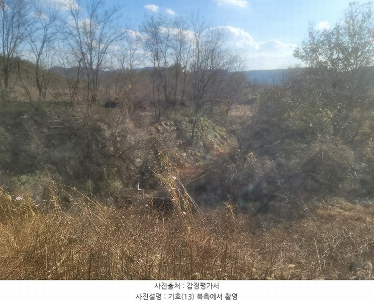 2024타경3924 경상북도 포항시 북구 청하면 소동리 229 임야 경매 이미지