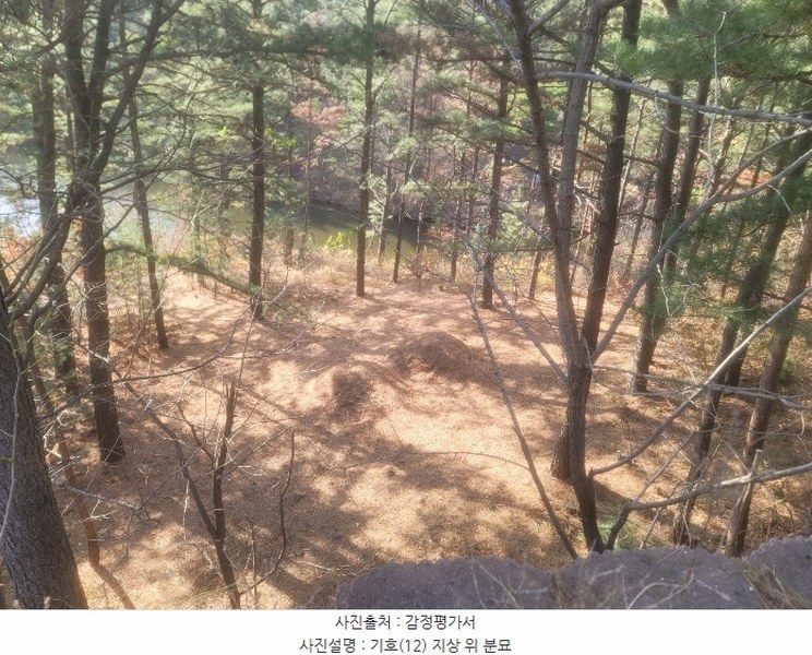 2024타경3924 경상북도 포항시 북구 청하면 소동리 229 임야 경매 이미지