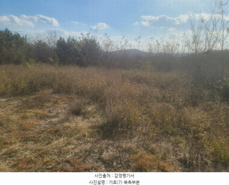 2024타경3924 경상북도 포항시 북구 청하면 소동리 229 임야 경매 이미지