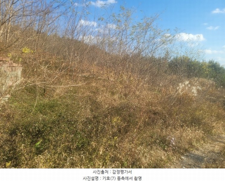 2024타경3924 경상북도 포항시 북구 청하면 소동리 229 임야 경매 이미지